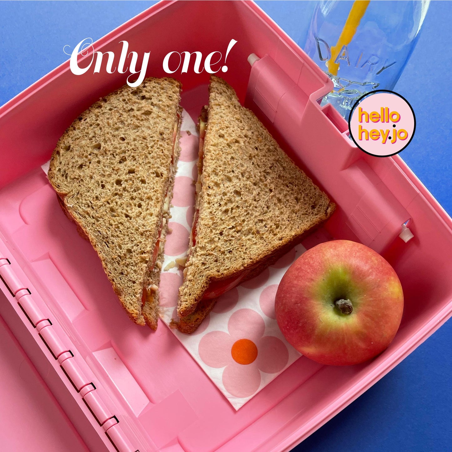 ONE OF A KIND - Retro lunchbox 'Ladies that lunch'